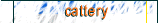 atacat cattery